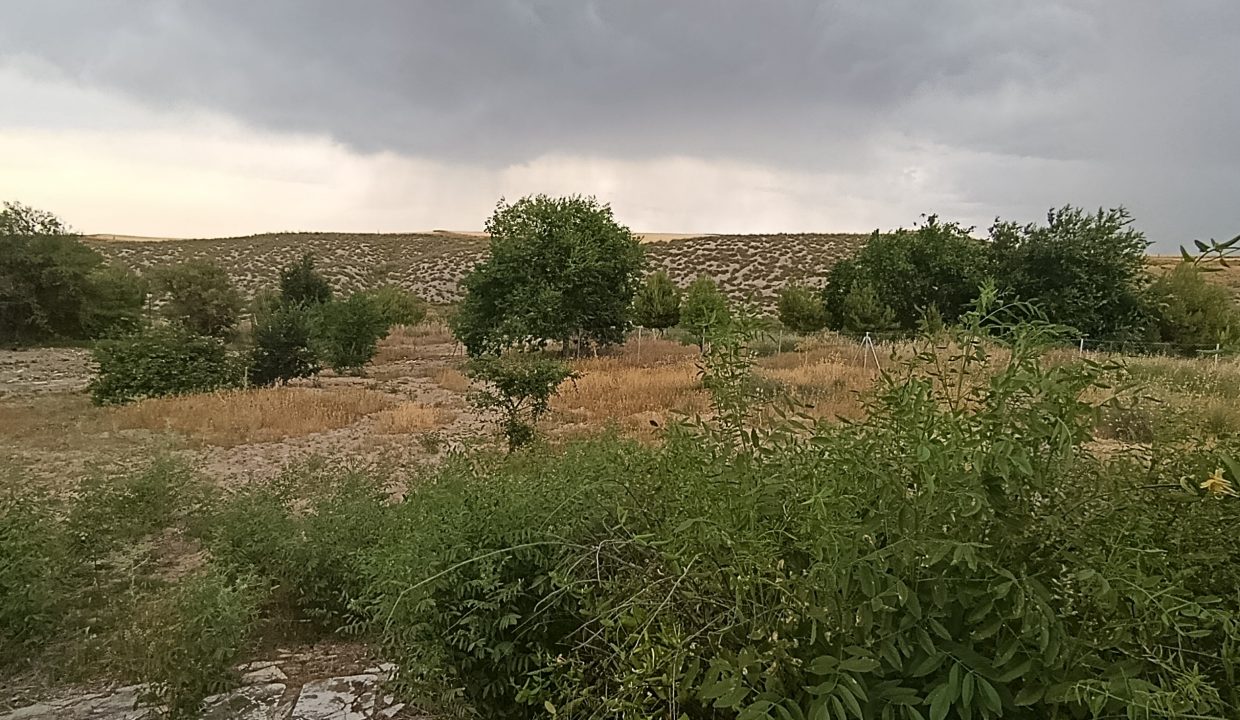 IMG_20250617_184927